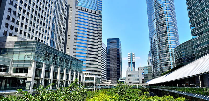 image of the area