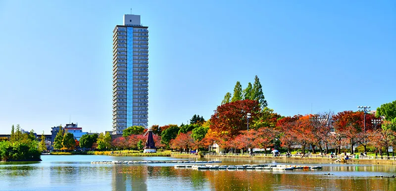 image of the area